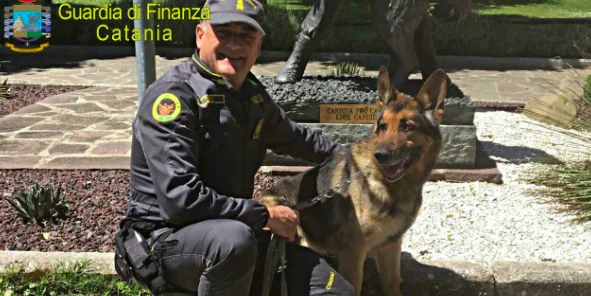 Il cane antidroga Zaro va in pensione